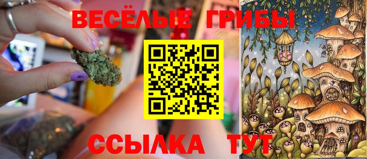 Нижнеудинск  Псилоцибиновые грибы мицелий  Вход с VPN  Псилоцибиновые грибы мицелий 