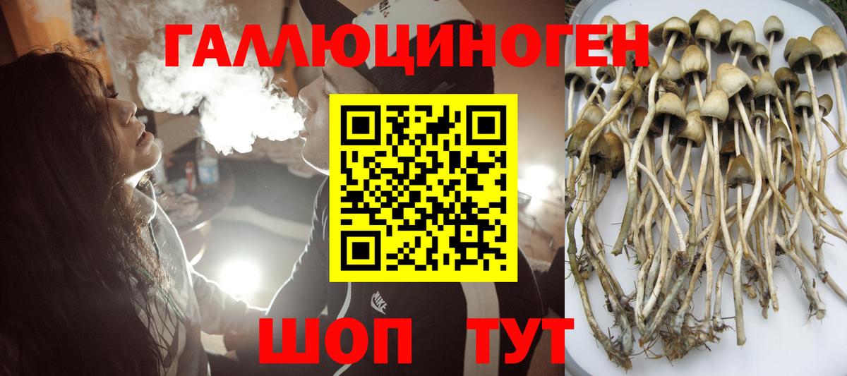 Псилоцибиновые грибы MAGIC MUSHROOMS Нижнеудинск